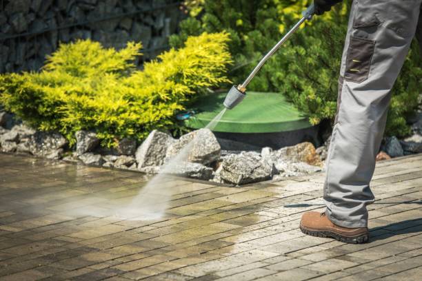 Best Winterizing Services  in St Bonifacius, MN