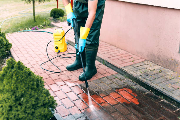 Best Pool Deck Cleaning  in St Bonifacius, MN
